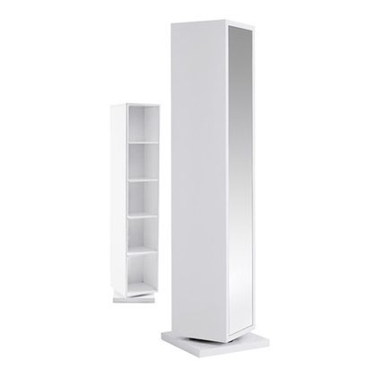 Mirrored Cabinet