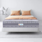Sleepwell Spine Plus Regular
